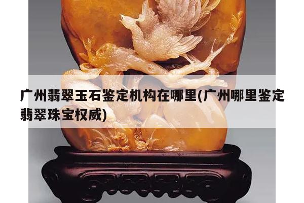 广州翡翠玉石鉴定机构在哪里(广州哪里鉴定翡翠珠宝权威)