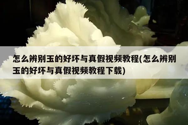 怎么辨别玉的好坏与真假视频教程(怎么辨别玉的好坏与真假视频教程下载)