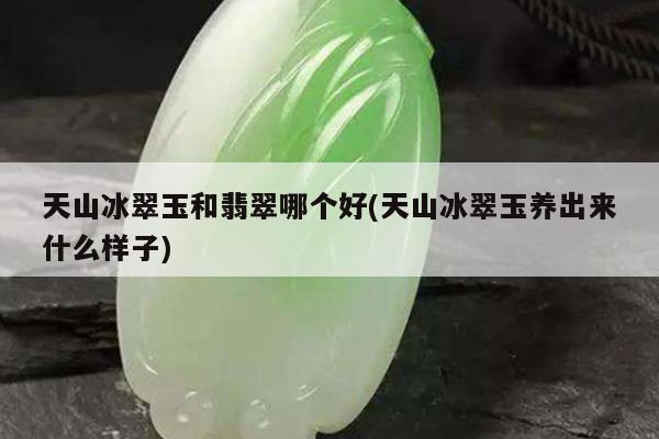 天山冰翠玉和翡翠哪个好(天山冰翠玉养出来什么样子)