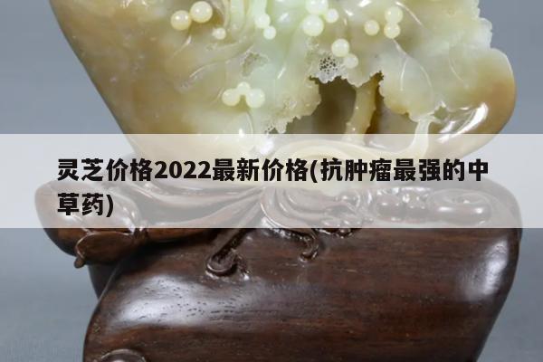 灵芝价格2022最新价格(抗肿瘤最强的中草药)