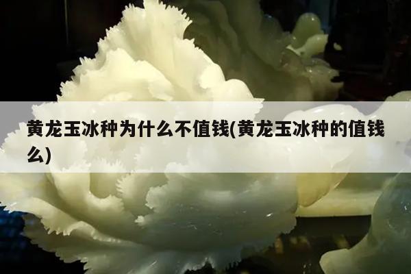 黄龙玉冰种为什么不值钱(黄龙玉冰种的值钱么)