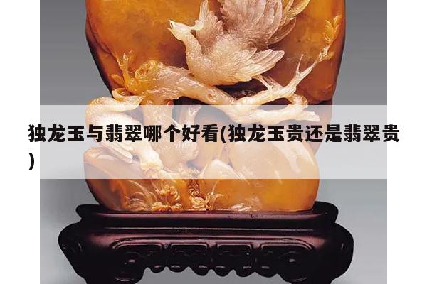 独龙玉与翡翠哪个好看(独龙玉贵还是翡翠贵)