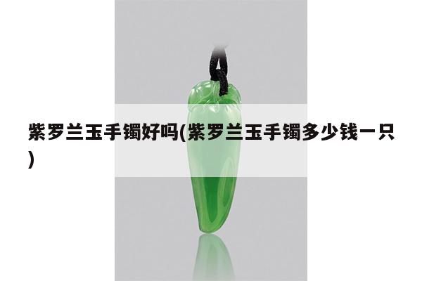 紫罗兰玉手镯好吗(紫罗兰玉手镯多少钱一只)