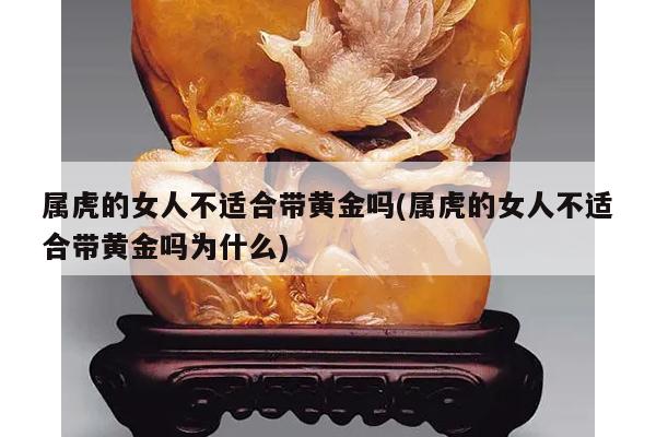 属虎的女人不适合带黄金吗(属虎的女人不适合带黄金吗为什么)