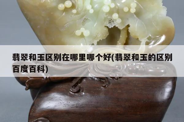 翡翠和玉区别在哪里哪个好(翡翠和玉的区别百度百科)