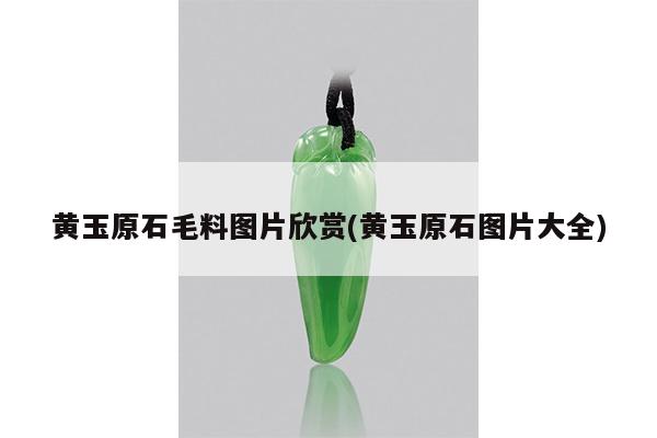 黄玉原石毛料图片欣赏(黄玉原石图片大全)