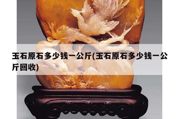 玉石原石多少钱一公斤(玉石原石多少钱一公斤回收)