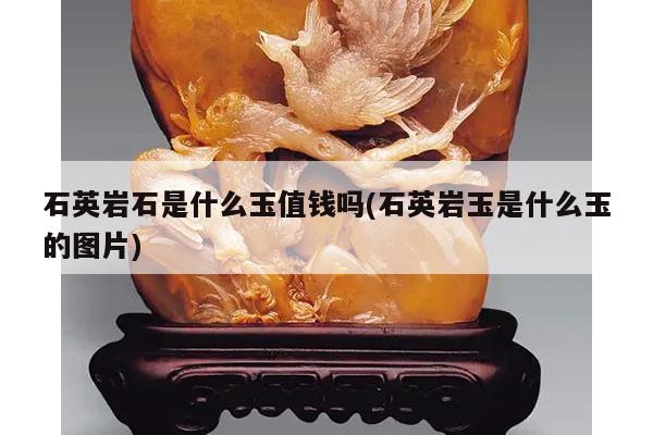 石英岩石是什么玉值钱吗(石英岩玉是什么玉的图片)