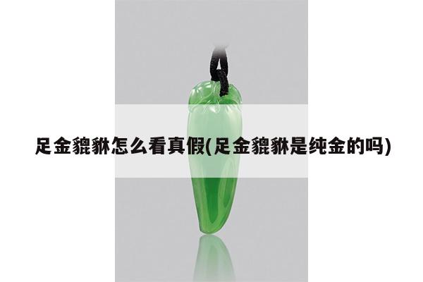 足金貔貅怎么看真假(足金貔貅是纯金的吗)