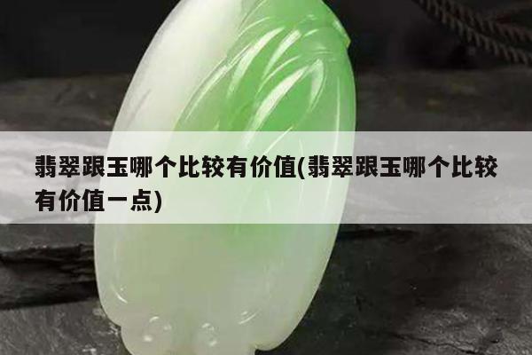 翡翠跟玉哪个比较有价值(翡翠跟玉哪个比较有价值一点)