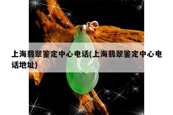 上海翡翠鉴定中心电话(上海翡翠鉴定中心电话地址)