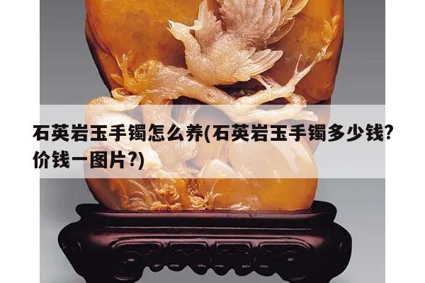 石英岩玉手镯怎么养(石英岩玉手镯多少钱?价钱一图片?)