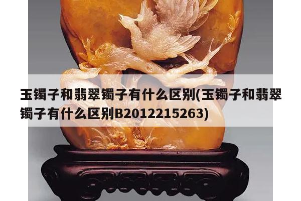 玉镯子和翡翠镯子有什么区别(玉镯子和翡翠镯子有什么区别B2012215263)