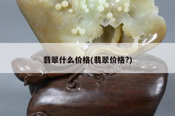 翡翠什么价格(翡翠价格?)