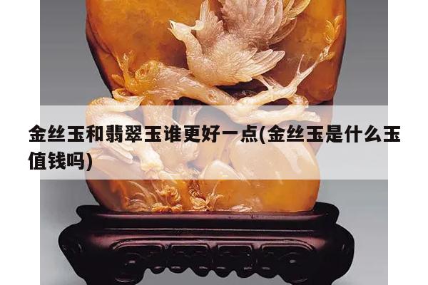 金丝玉和翡翠玉谁更好一点(金丝玉是什么玉值钱吗)
