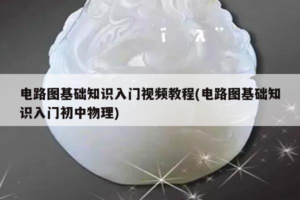 电路图基础知识入门视频教程(电路图基础知识入门初中物理)