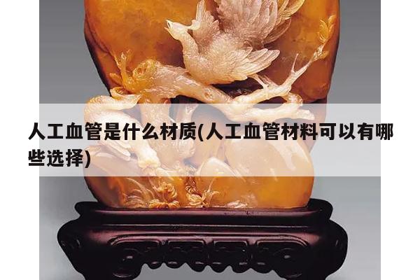 人工血管是什么材质(人工血管材料可以有哪些选择)