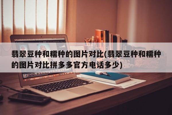 翡翠豆种和糯种的图片对比(翡翠豆种和糯种的图片对比拼多多官方电话多少)