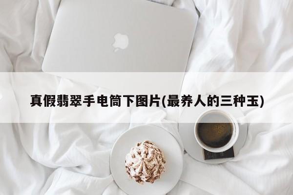 真假翡翠手电筒下图片(最养人的三种玉)