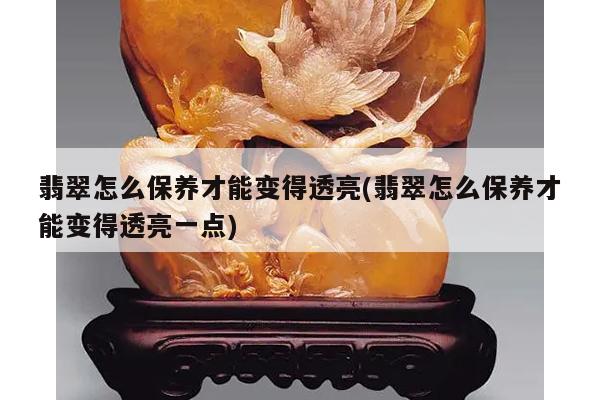 翡翠怎么保养才能变得透亮(翡翠怎么保养才能变得透亮一点)