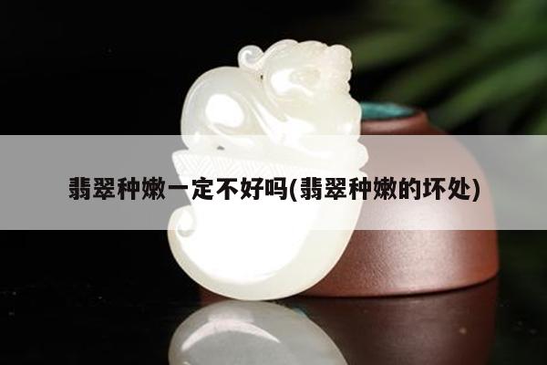 翡翠种嫩一定不好吗(翡翠种嫩的坏处)