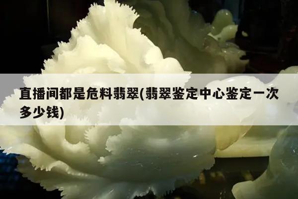 直播间都是危料翡翠(翡翠鉴定中心鉴定一次多少钱)