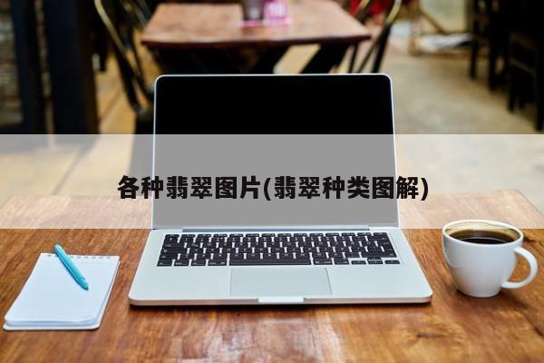 各种翡翠图片(翡翠种类图解)