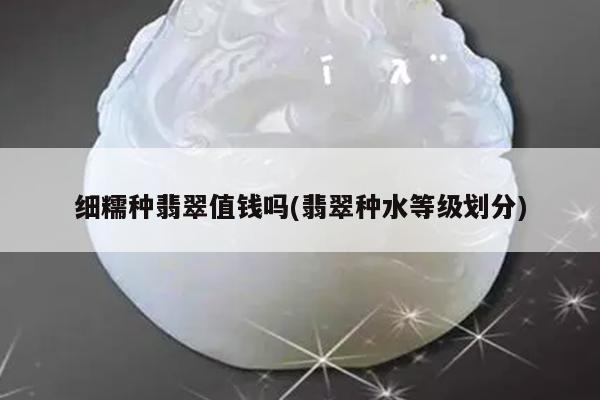 细糯种翡翠值钱吗(翡翠种水等级划分)