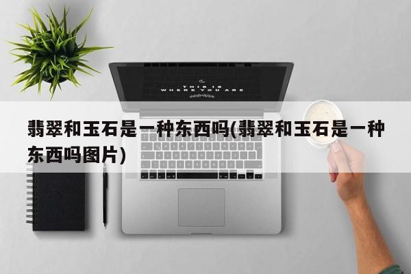 翡翠和玉石是一种东西吗(翡翠和玉石是一种东西吗图片)