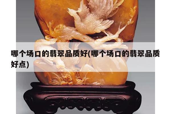 哪个场口的翡翠品质好(哪个场口的翡翠品质好点)