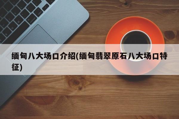 缅甸八大场口介绍(缅甸翡翠原石八大场口特征)