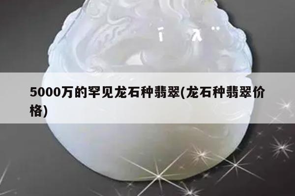 5000万的罕见龙石种翡翠(龙石种翡翠价格)