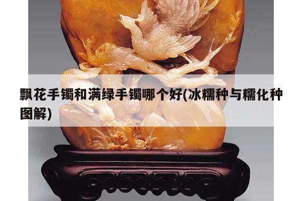 飘花手镯和满绿手镯哪个好(冰糯种与糯化种图解)