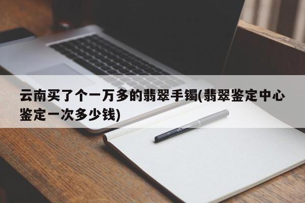 云南买了个一万多的翡翠手镯(翡翠鉴定中心鉴定一次多少钱)