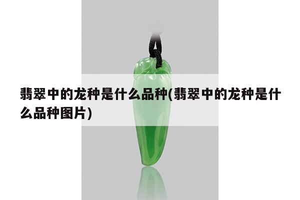 翡翠中的龙种是什么品种(翡翠中的龙种是什么品种图片)