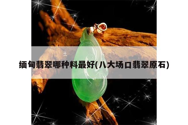 缅甸翡翠哪种料最好(八大场口翡翠原石)