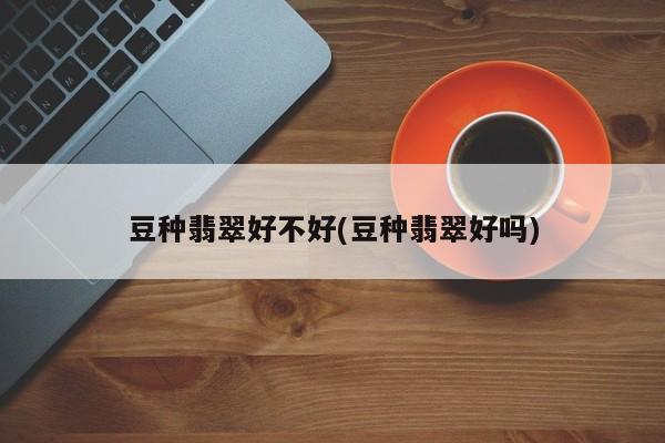 豆种翡翠好不好(豆种翡翠好吗)