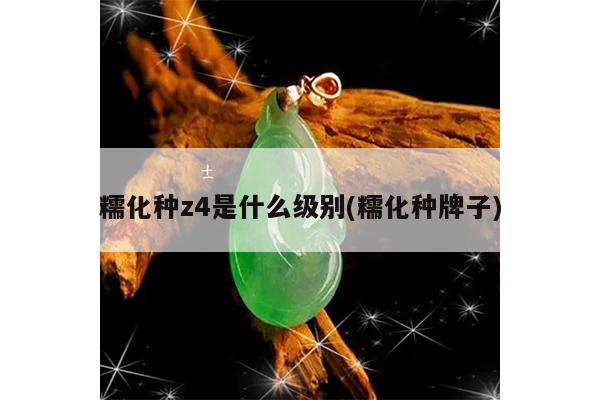 糯化种z4是什么级别(糯化种牌子)