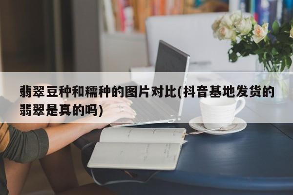 翡翠豆种和糯种的图片对比(抖音基地发货的翡翠是真的吗)