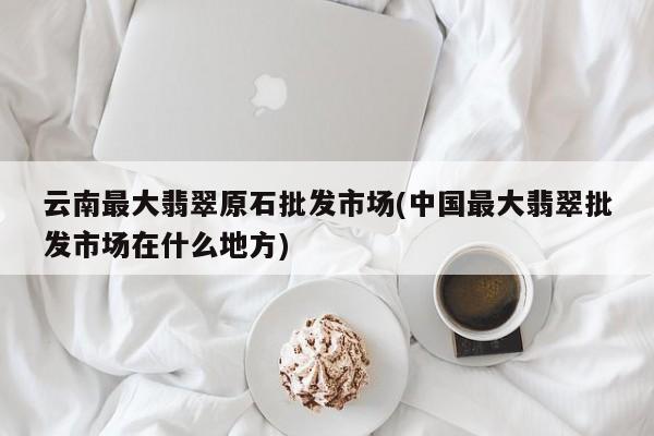 云南最大翡翠原石批发市场(中国最大翡翠批发市场在什么地方)