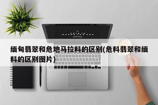 缅甸翡翠和危地马拉料的区别(危料翡翠和缅料的区别图片)