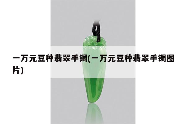 一万元豆种翡翠手镯(一万元豆种翡翠手镯图片)