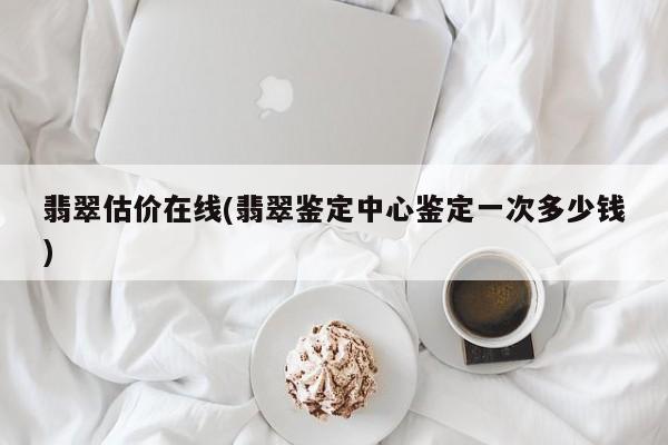 翡翠估价在线(翡翠鉴定中心鉴定一次多少钱)