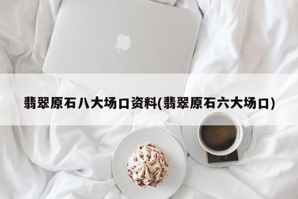 翡翠原石八大场口资料(翡翠原石六大场口)
