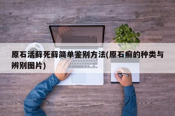 原石活藓死藓简单鉴别方法(原石癣的种类与辨别图片)
