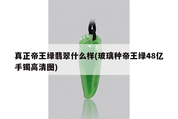 真正帝王绿翡翠什么样(玻璃种帝王绿48亿手镯高清图)