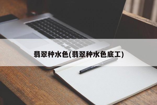 翡翠种水色(翡翠种水色底工)
