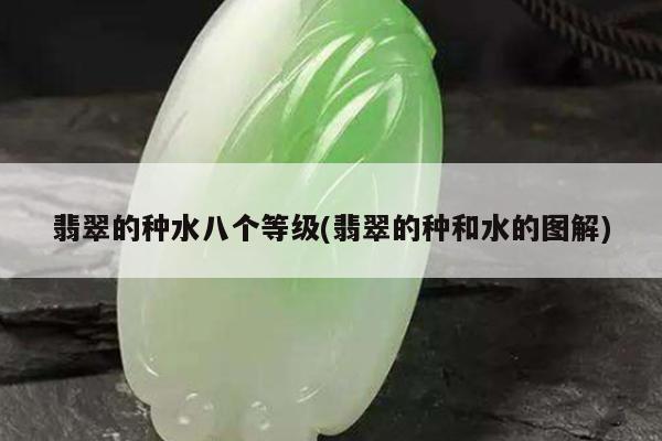 翡翠的种水八个等级(翡翠的种和水的图解)