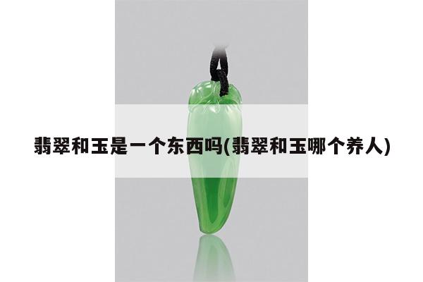 翡翠和玉是一个东西吗(翡翠和玉哪个养人)