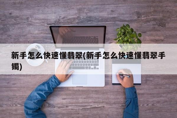 新手怎么快速懂翡翠(新手怎么快速懂翡翠手镯)